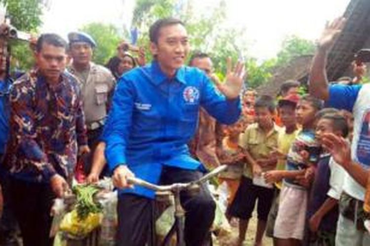 Memasuki hari ketiga kunjungan Sekretaris Jenderal Partai Demokrat, Edhie Baskoro Yudhoyono menunggangi sepeda ontel saat meninjau produk hasil pertanian di Desa Dero, Kecamatan Bringin Kabupaten Ngawi, Rabu (29/1/2014).
