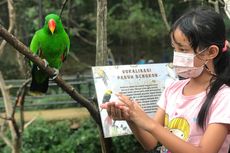 Obyek Wisata di Bandung Tutup Sementara, Termasuk Bandung Zoo