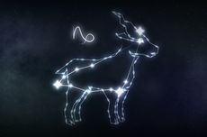 5 Kelemahan Zodiak Capricorn, Punya Standar Terlalu Tinggi