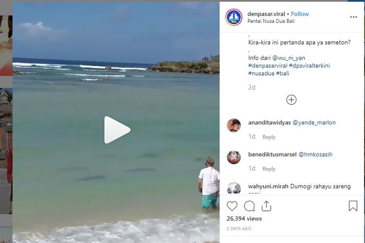Viral Video Puluhan Hiu Menepi di Pantai Bali, Ini Kata Para Ahli