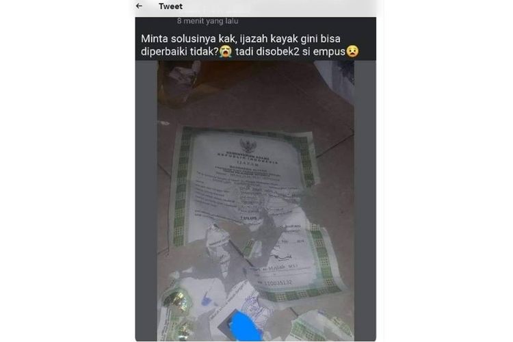 Tangkapan layar Twit tentang ijazah rusak karena dicabik-cabik kucing