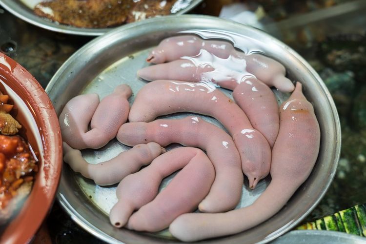 Gaebul disebut juga penish fish atau ikan penis, makanan ekstrem dari Korea. 