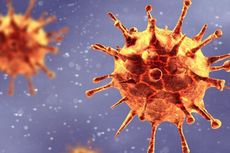 Dinkes DKI: Tiga Varian Baru Virus Corona Ditemukan di Jakarta