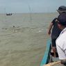 Terdampar, 8 Ekor Lumba-lumba Berhasil Dievakuasi Setelah Air Pasang