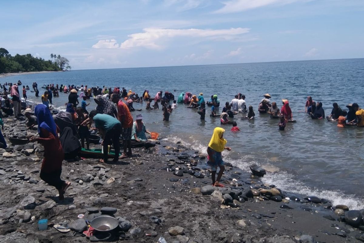 Ratusan warga Desa Tamilow, Kecamatan Amahai, Kabupaten Maluku Tengah tengah mendulang emas di pantai dusun Pohon Batu, desa setempat, Rabu (24/3/2021)