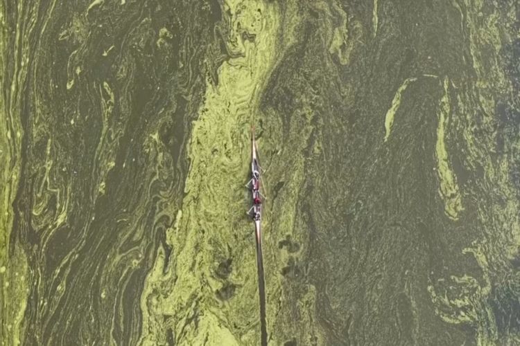 East Flood Canal in North Jakarta Turns Bright Green Like Matcha, Dry Season Footprint Alters Water Surface