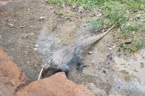 Cara ke Solo Safari Naik Batik Solo Trans dari Stasiun Purwosari dan Solobalapan