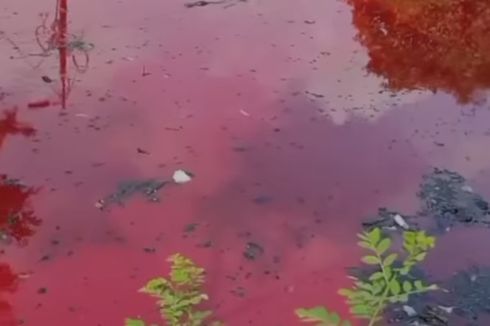 Air Kali Semarang Sempat Berubah Warna Jadi Merah Darah, DLH Sudah Cek