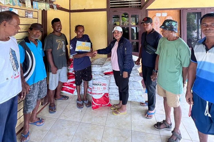 Kementan memberikan bantuan benih kopi dan sarana produksi subsektor perkebunan kepada tujuh kelompok tani (KT) di Maluku Tenggara.