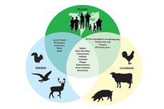 Apa yang Dimaksud dengan Penyakit Zoonosis?