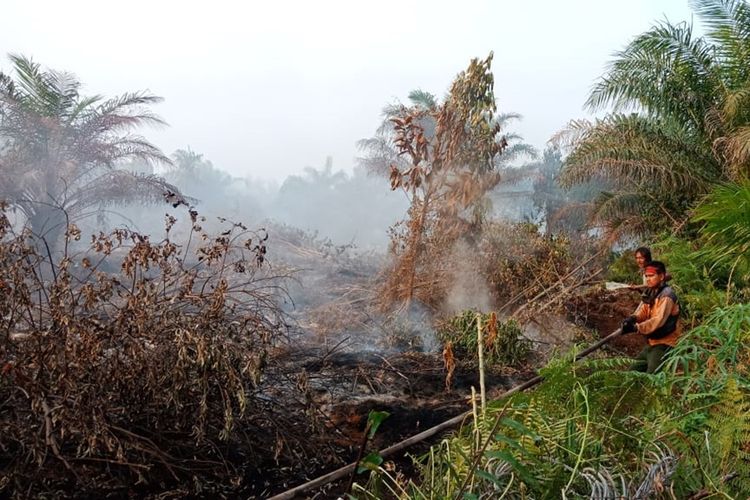 Petugas BPBD Inhil berupaya menyiram api karhutla yang terus meluas di Desa Teluk Jira, Kecamatan Tempuling, Kabupaten Inhil, Riau, Rabu (18/9/2019).