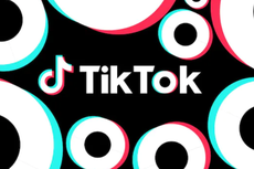Project S TikTok Ancam UMKM Lokal, Pengamat: Harus Kolaborasi