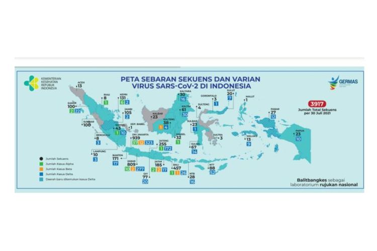 Peta sebaran sekuens dan varian virus corona di Indonesia, data hingga 29 Juli 2021.