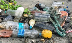 Mulai Januari 2025 Warga Jakarta Wajib Pilah Sampah jika Tak Mau Kena Retribusi