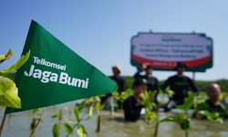 Lanjutkan Program Carbon Offset, Telkomsel Tanam 15.060 Pohon di Kawasan Hutan Mangrove