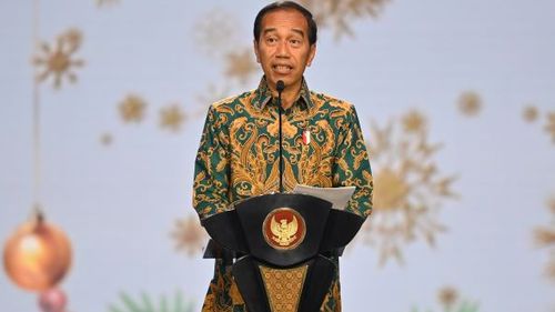 TKN Sebut Peran Jokowi Tak Sebatas di Masa Transisi Pemerintahan Prabowo-Gibran