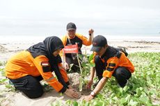 DMC Dompet Dhuafa dan Sejumlah Pihak Tanam 2.050 Pohon Mangrove di Pantai Soge dan Teban