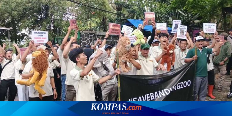 Pegawai Tuntut Bandung Zoo Dibuka Kembali: Kami Sangat Khawatir, Fokus Terganggu