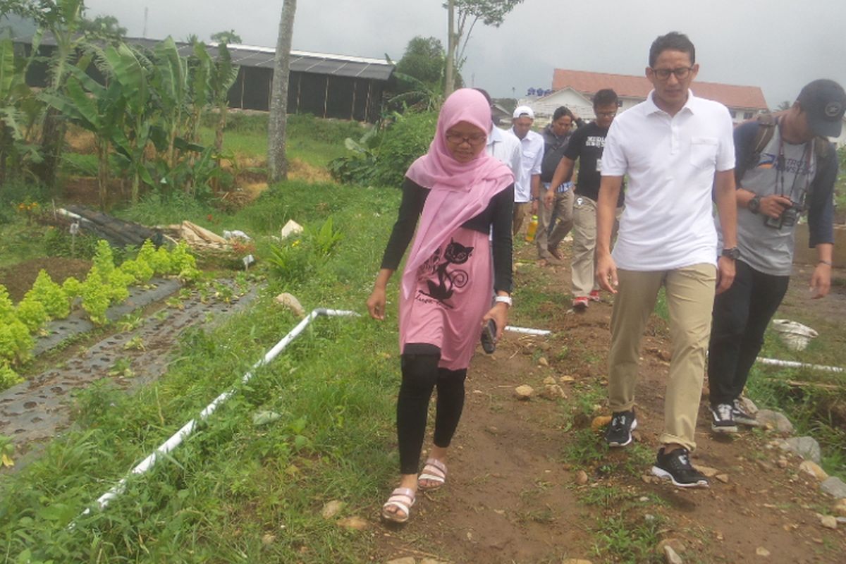 Calon wakil gubernur DKI Jakarta nomor pemilihan tiga Sandiaga Uno saat berkunjung ke The Learning Farm yang berlokasi di Kampung Rawa Benceuh, Desa Kawung Luwuk, Kecamatan Sukaresmi, Cianjur, Jawa Barat pada Kamis (23/3/2017)