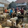 Jelang Idul Adha, Harga Kambing Kurban di Kuningan Terus Naik