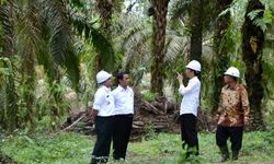 Ini Upaya Kementan untuk Genjot Ekspor Pertanian