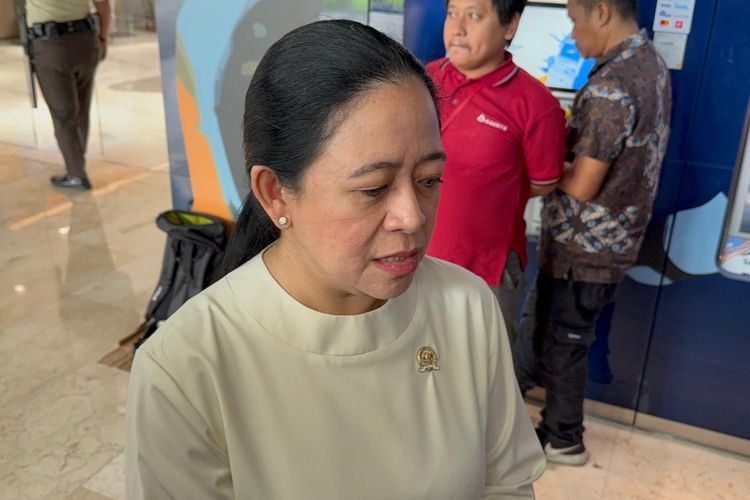 Puan Ungkap Partai-partai Bakal Gelar Rapat Tanggapi Putusan MK soal Pemisahan Pemilu