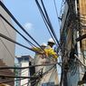 Pengamat Nilai Pemprov DKI Belum Sigap Tertibkan Kabel Semrawut di Ibu Kota 