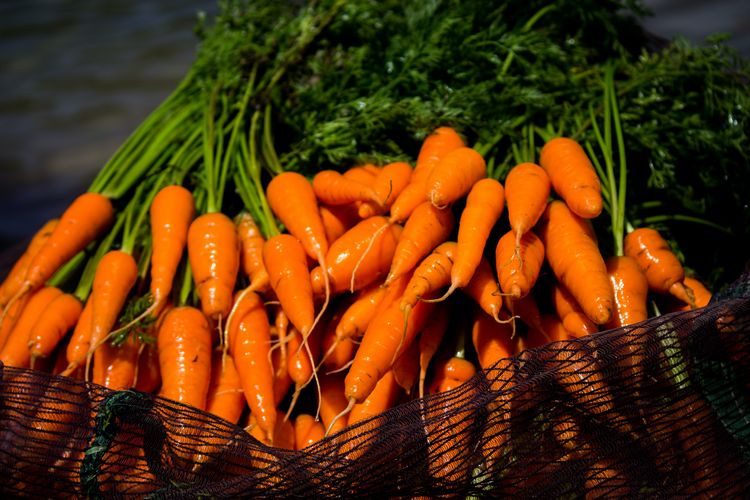 Kebanyakan mengonsumsi wortel bisa menyebabkan carotenemia. 