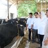 Menilik Budidaya Sapi Wagyu di Jatirejo Farm, Mbak Ita Ungkapkan Harapannya