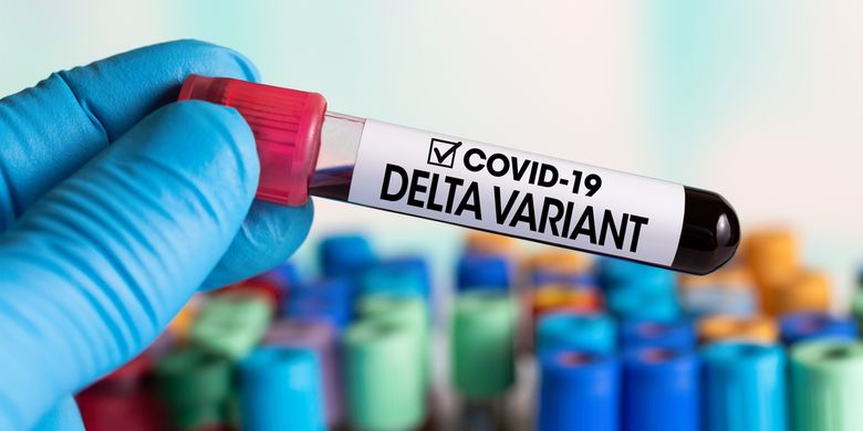 Ilustrasi varian virus corona Delta. Varian ini pertama kali diidentifikasi di India, sebelumnya dinamai B.1.617.2. Virus corona varian Delta.