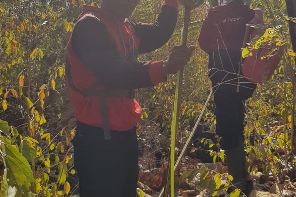 Foto: Taman Nasional Baluran mengalami kebakaran hutan dan lahan, petugas mematikan api dengan cara memodifikasi ranting untuk mematikan api.