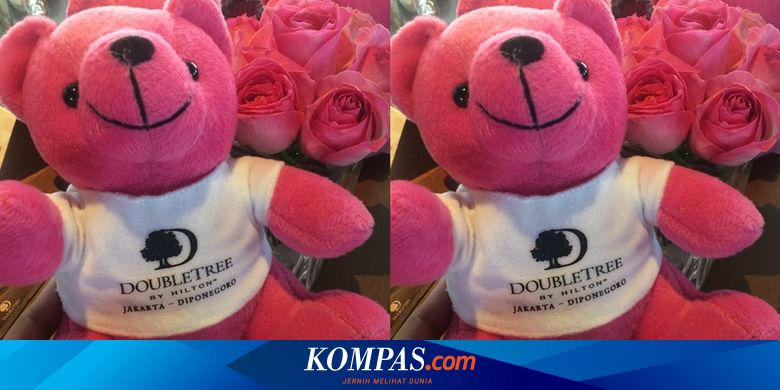 Boneka Beruang Pink yang Menyebar Pesan Kesehatan