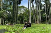 jalan jalan ke china tanpa tour 4 Tips Berkunjung ke Taman Langsat, Hindari Musim Hujan