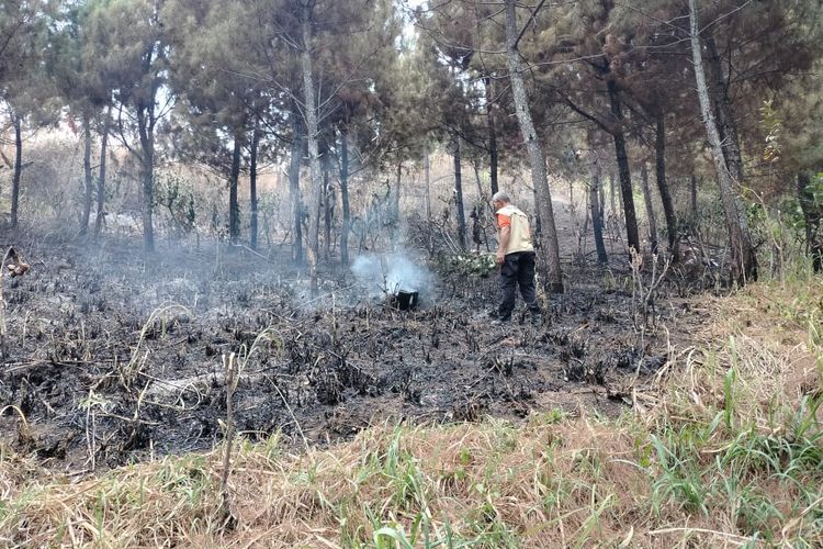 Petugas BPBD Kabupaten Madiun memantau lokasi kawasan hutan di lereng Gunung Wilis yang terbakar sejak Sabtu (14/10/2023). 