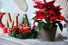 Tak Butuh Waktu Lama, Ini 5 Tips Dekorasi Natal Paling Mudah