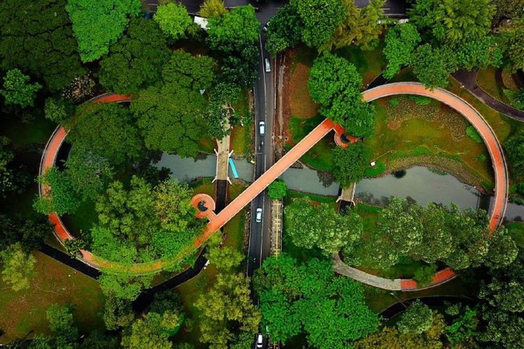 Infinity  Link Bridge Tebet Eco Park