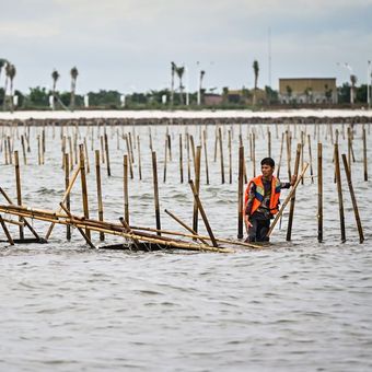 Nelayan membongkar pagar laut yang terpasang di kawasan pesisir Tanjung Pasir, Kabupaten Tangerang, Banten, Sabtu (18/1/2025). Sebanyak 600 personel TNI AL dan para nelayan Tanjung Pasir membongkar pagar laut tanpa izin dengan target penyelesaian selama 10 hari dengan jarak sepanjang 30,16 km. ANTARA FOTO/Rivan Awal Lingga/YU