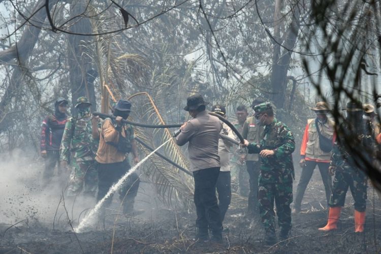 BNPB Catat Kebakaran Lahan di Riau Terus Bertambah hingga 3.456 Hektare