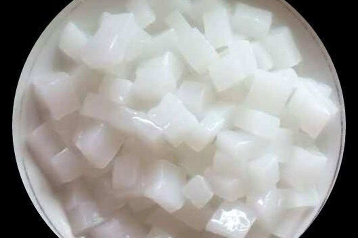 Nata de Coco