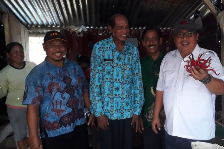 Kepala Dinas Pertanian Kabupaten Sorong, Benyamin Halatu, saat mendampingi kunjungan kerja Direktur Sayuran dan Tanaman Obat Hortikultura Kementerian Pertanian, Kamis (19/7/2018).