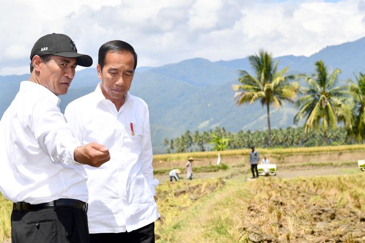 Presiden Joko Widodo meninjau panen padi di Kabupaten Sigi, Sulawesi Tengah, dalam kunjungan kerjanya pada Rabu (27/3/2024). 