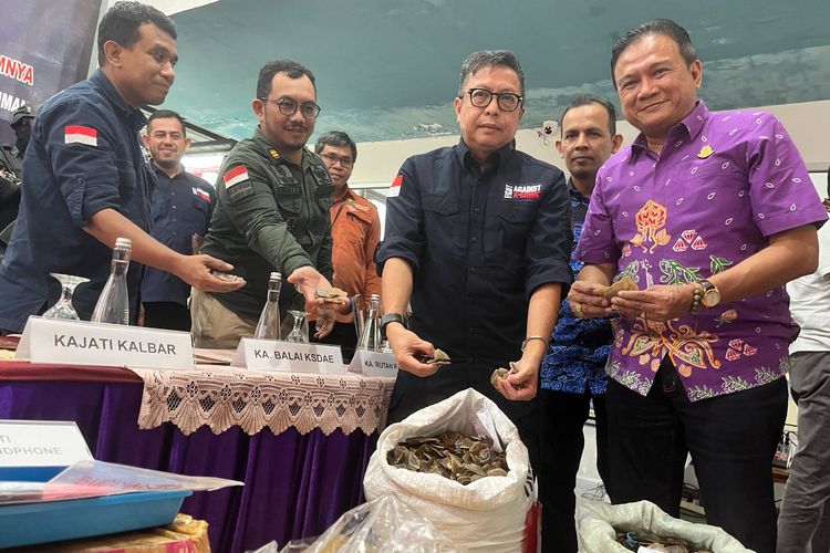 Dua orang berinisial BY (44) dan AN (63) asal Kabupaten Melawi, Kalimantan Barat (Kalbar) ditangkap atas dugaan perdagangan 337,88 kilogram sisik trenggiling. 