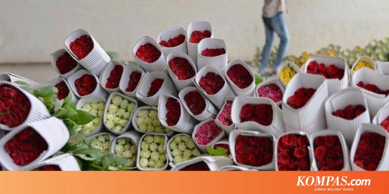 Paling Keren 21 Bunga  Mawar Merah Tahan  Berapa  Hari 