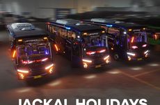 PO Jackal Holidays Luncurkan 3 Unit Medium Bus Baru