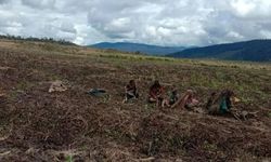 Anggota Komisi VI DPR Intan Fauzi Minta Pemerintah Siap Hadapi Ancaman Resesi Pangan