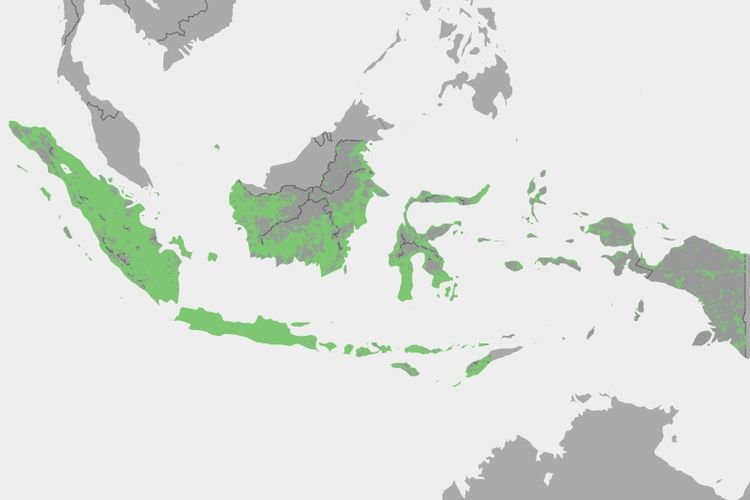 Ketersediaan jaringan Telkomsel di Indonesia diwakili dengan warna hijau.