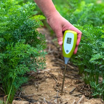 Ilustrasi mengukur pH tanah menggunakan alat pH meter. 