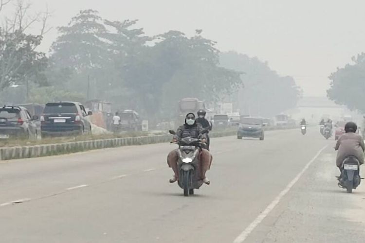 Kabut Asap Makin Pekat di Pekanbaru, Masuk ke Rumah Saat Pintu Dibuka