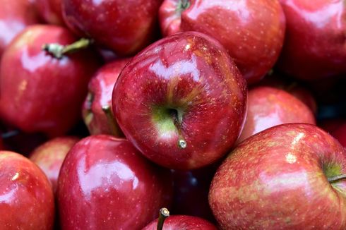 Apa Dampak Makan Buah Apel Terlalu Banyak bagi Kesehatan?