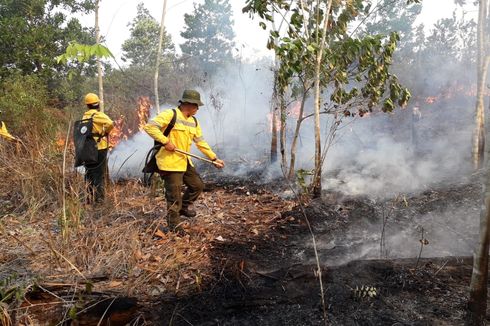 Titik Api Terus Ditemukan di Kaltim, 6 Orang Ditetapkan Tersangka  